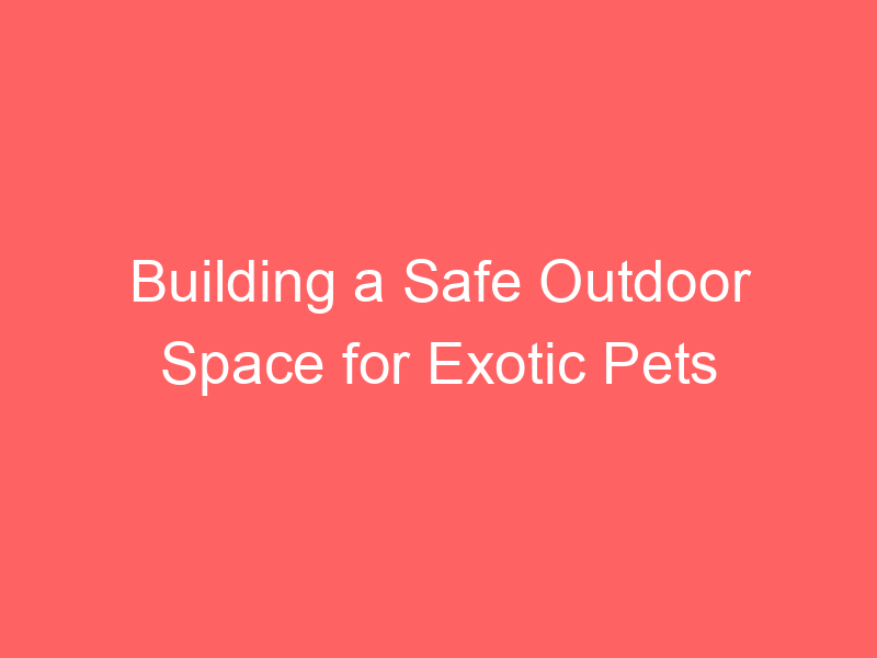 Building a Safe Outdoor Space for Exotic Pets