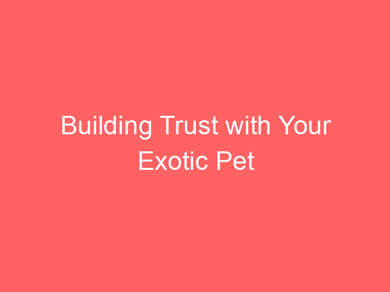 Building Trust with Your Exotic Pet