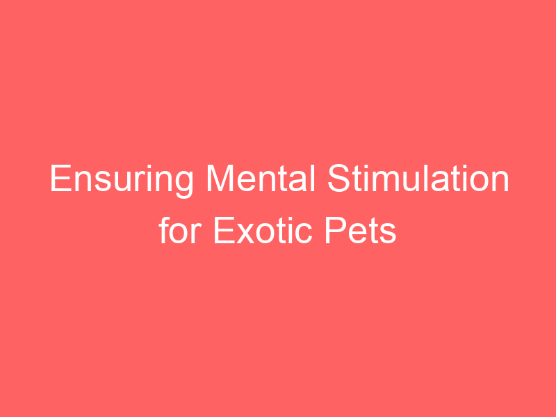 Ensuring Mental Stimulation for Exotic Pets