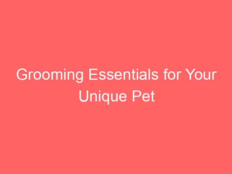 Grooming Essentials for Your Unique Pet