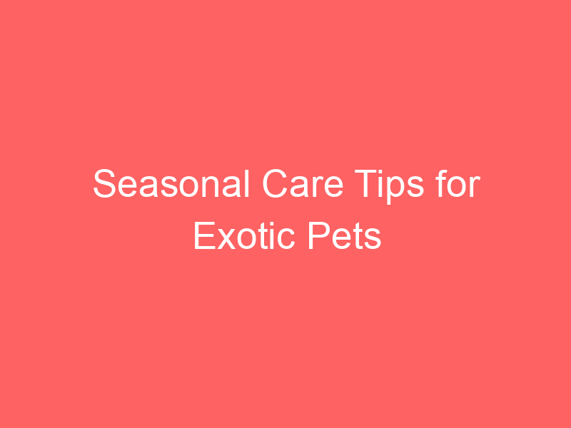 Seasonal Care Tips for Exotic Pets