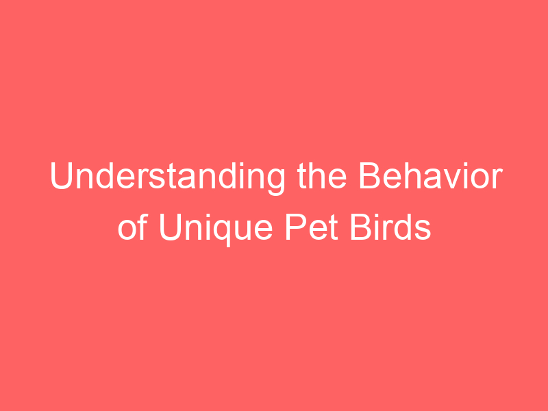 Understanding the Behavior of Unique Pet Birds